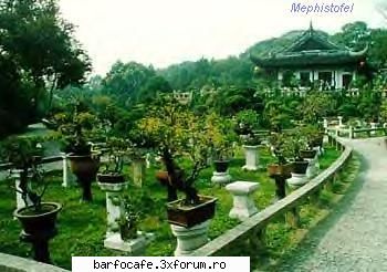 frumusetea gradinii care visam. siguranta visat cum trezesti dimineata mirosul placut florilor
