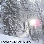 vei să apă formele line ale chipului tăunu voi atinge lăsa lacrima calea vei