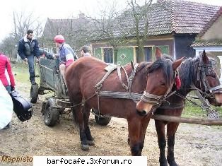 "Romanian Business Network" si "Hewlett Packard" - Luni 24 aprilie a.c., Consulul - Piata comentata